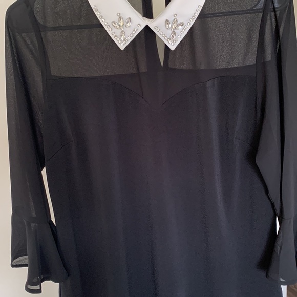 Jeweled Collared Sheer Blouse - Picture 4 of 6